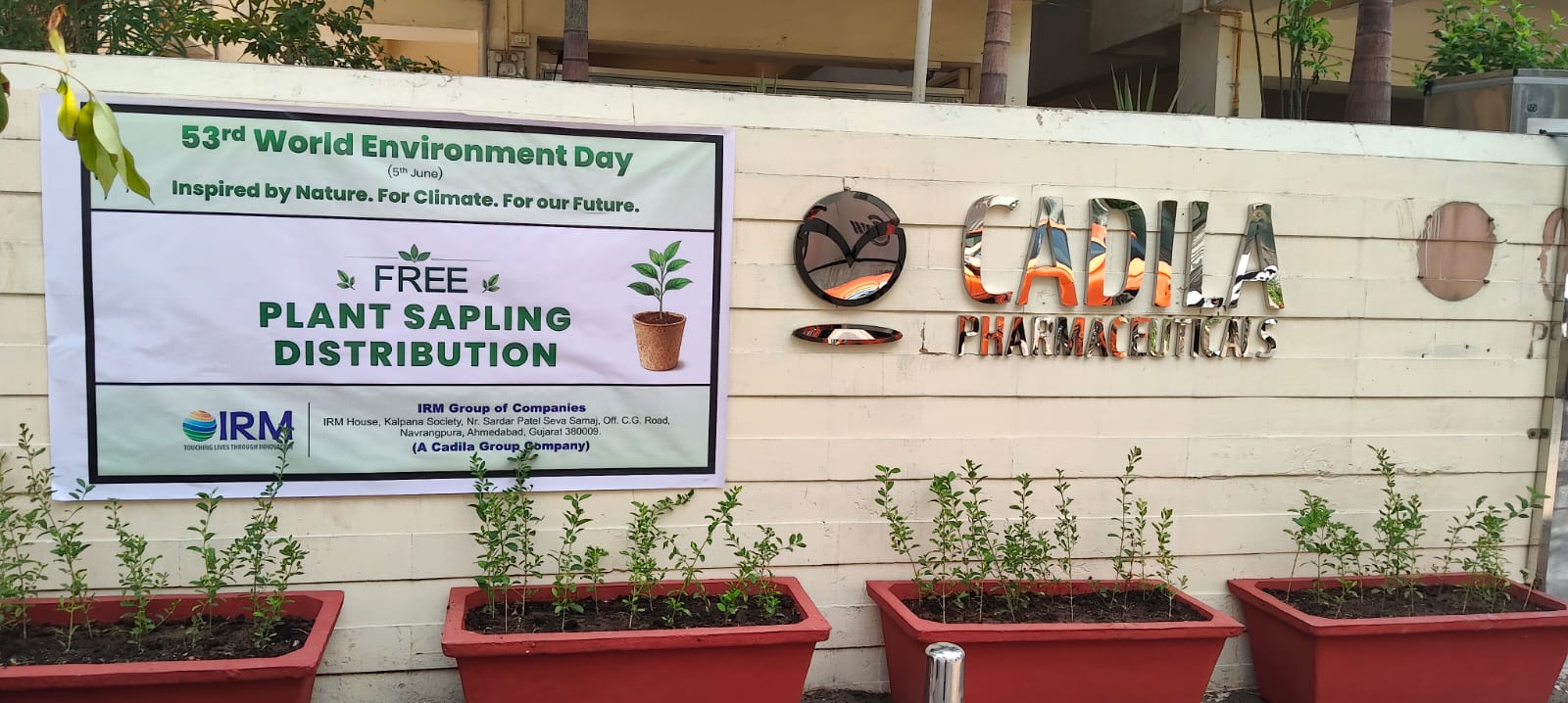 Cadila Pharmaceuticals plants 2,000+ trees on World Environment Day